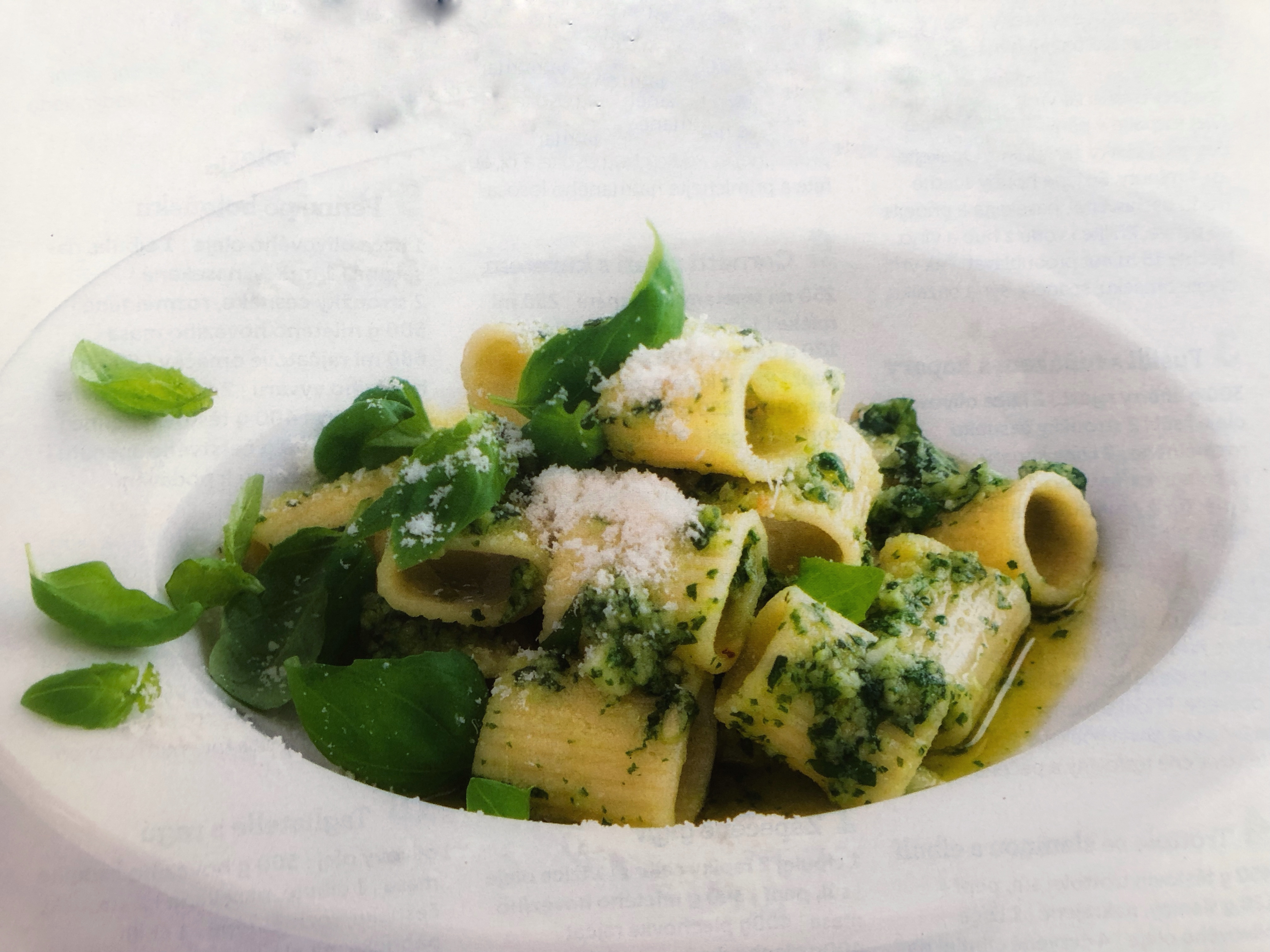 Rigatoni s bazalkovým pestem