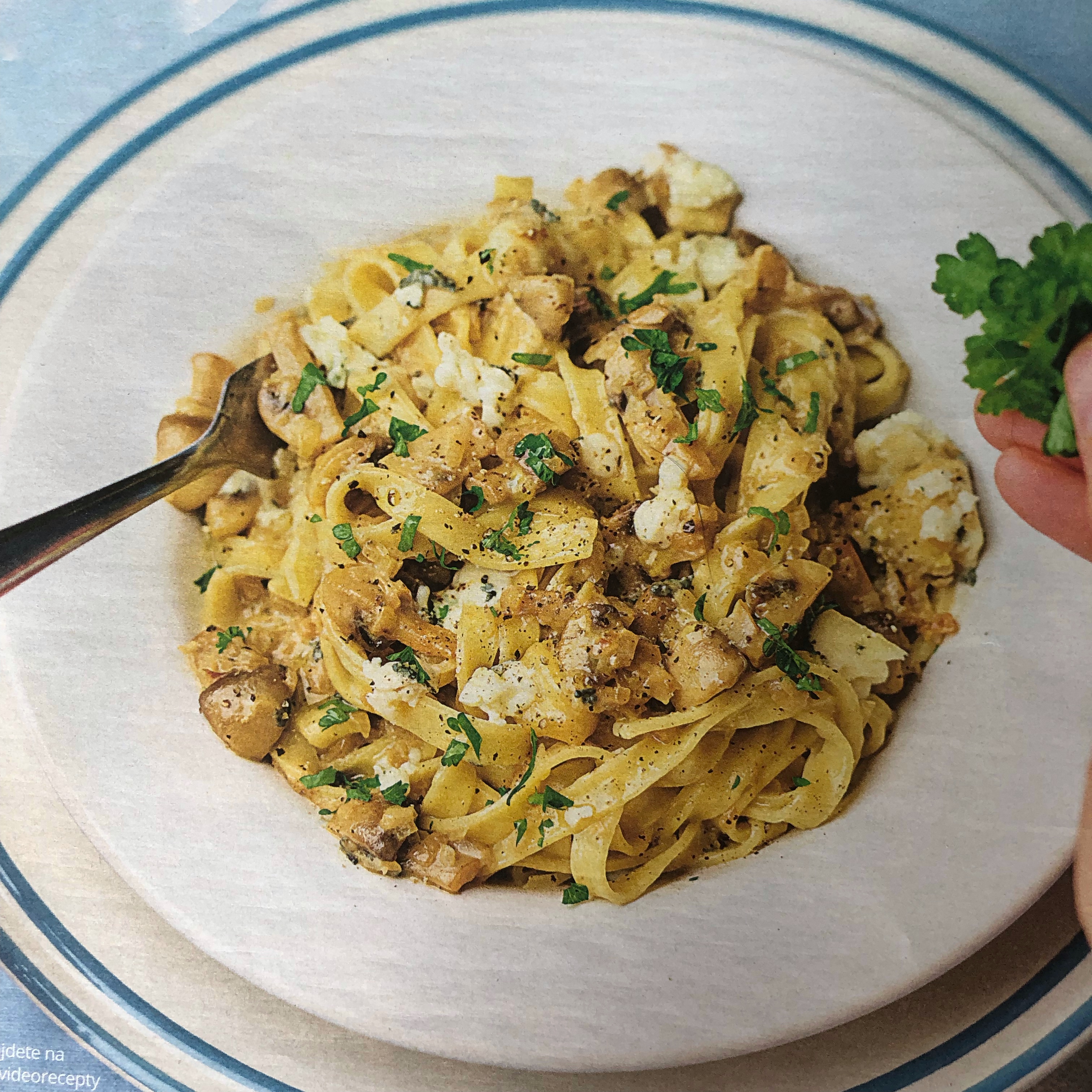 Houbové tagliatelle s omáčkou z modrého sýra