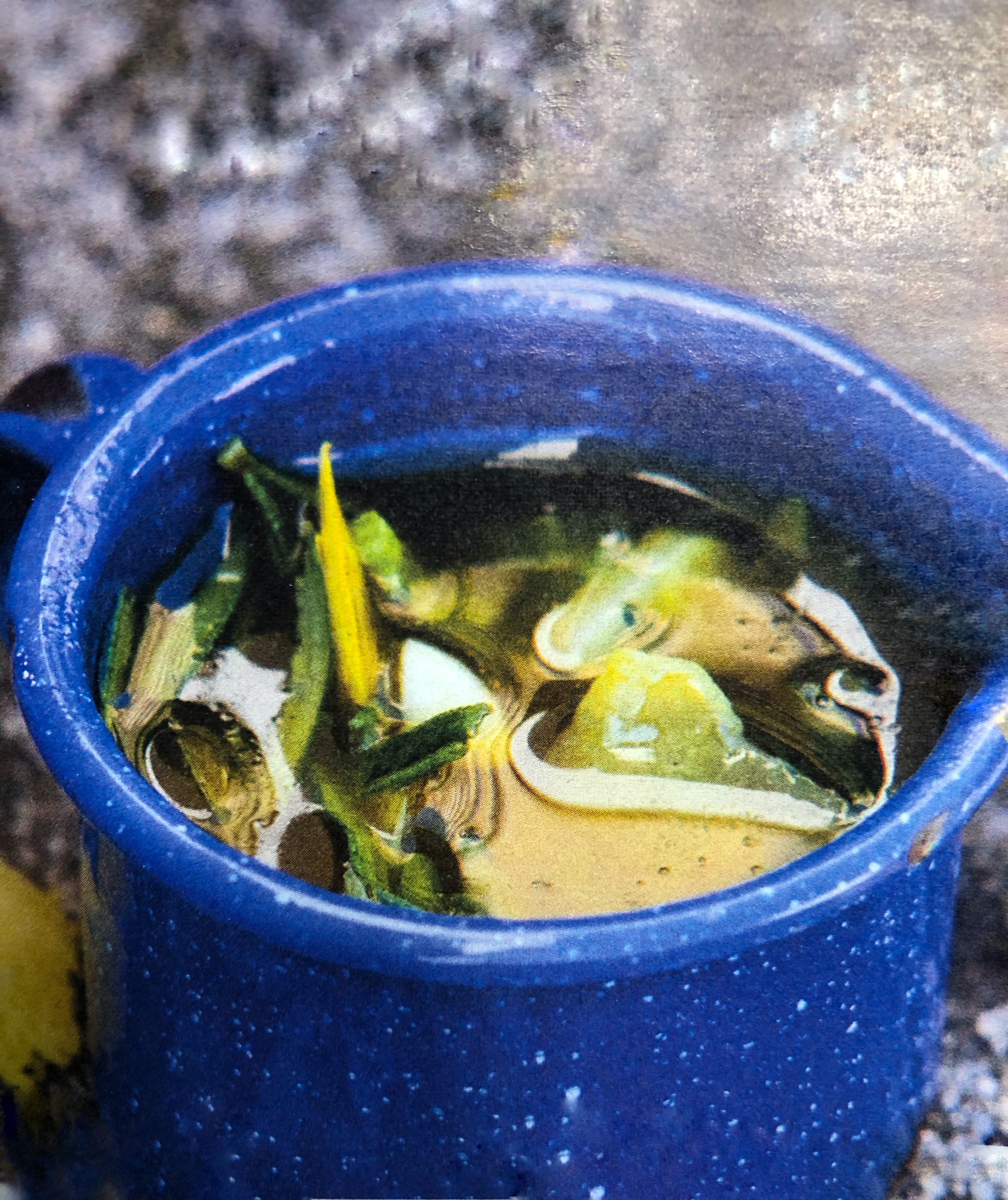 Marináda s balsamikovým octem