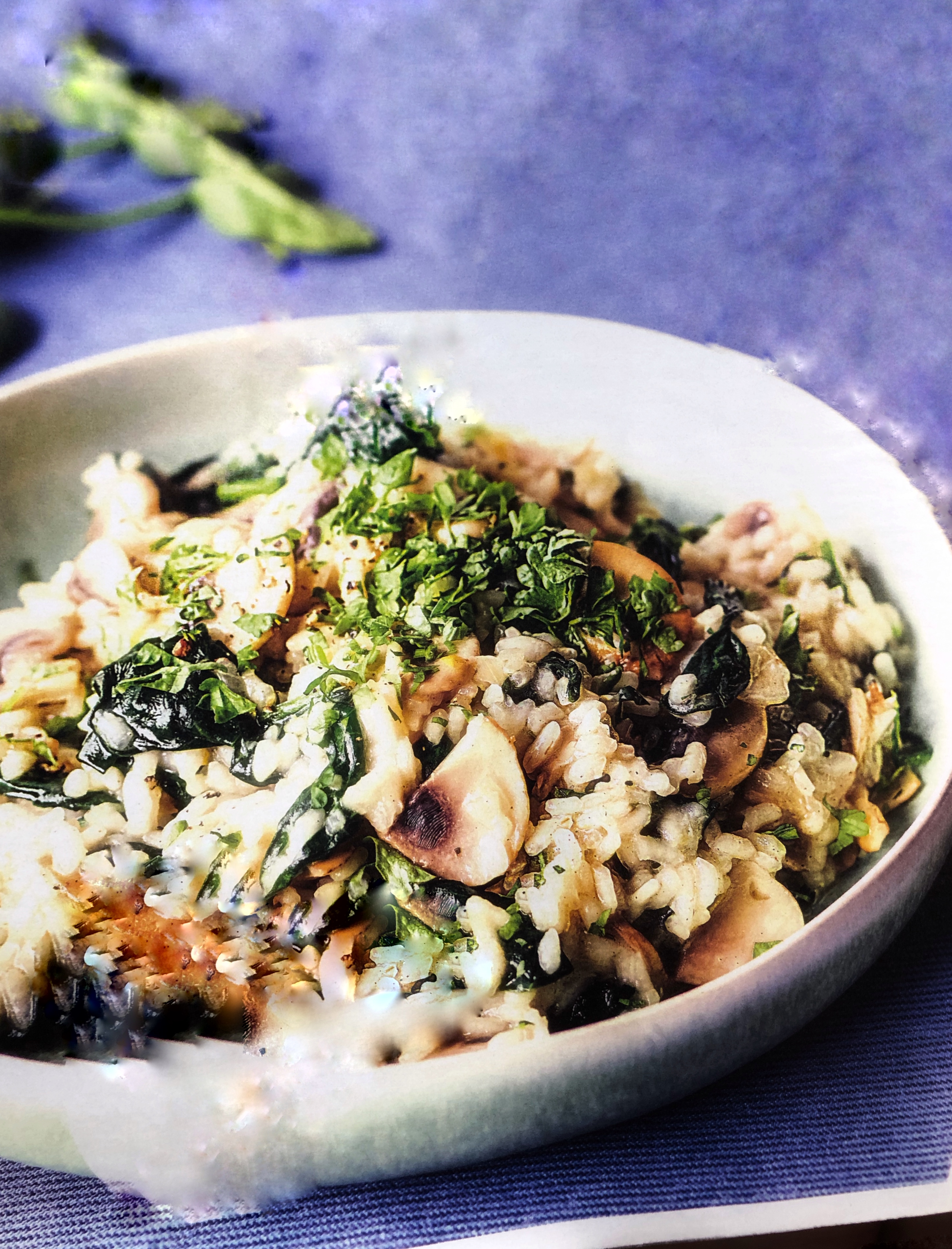 Žampionové rizoto se špenátem a ricottou