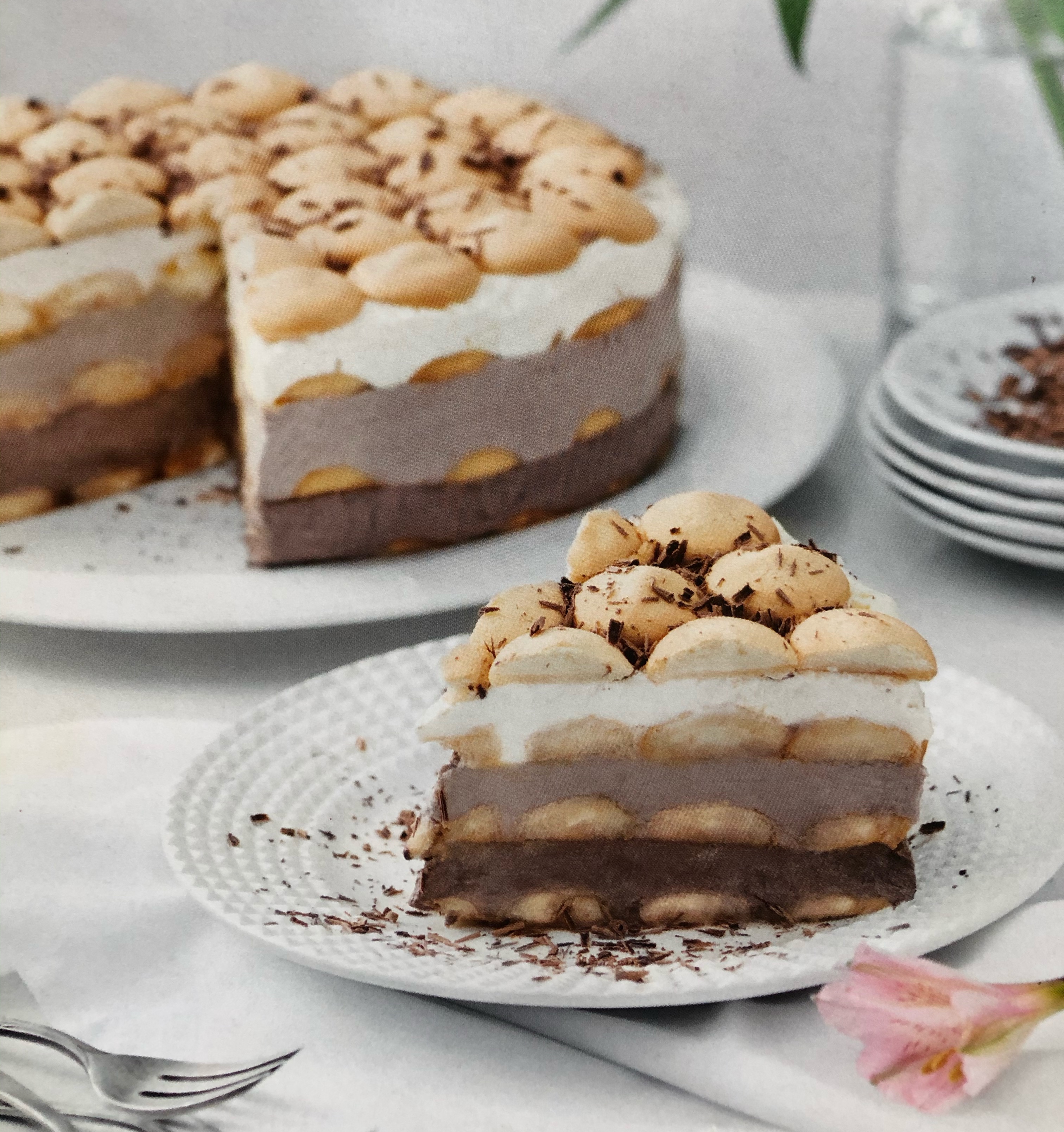 Nepečený piškotový dort