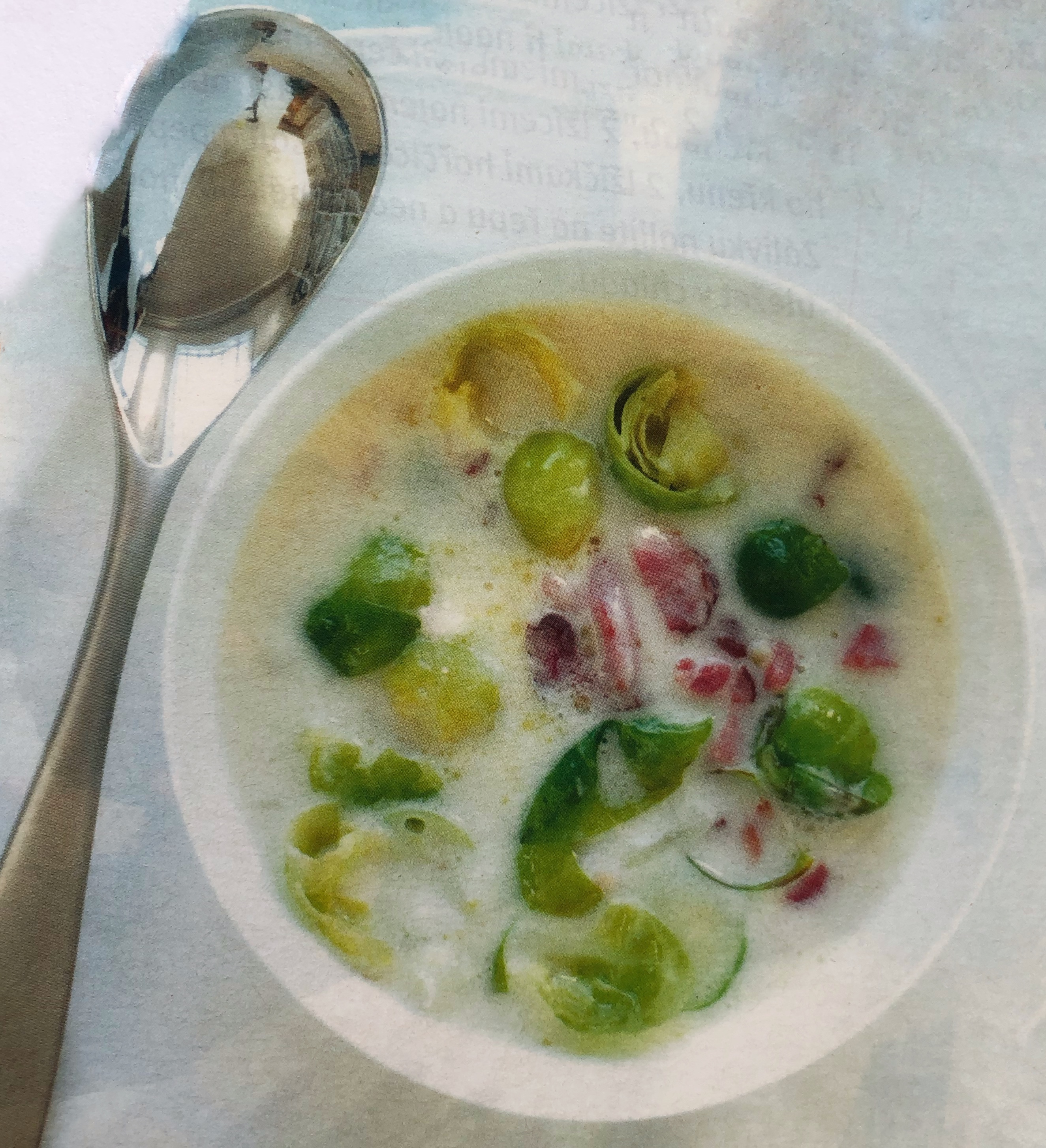 Polévka z růžičkové kapusty