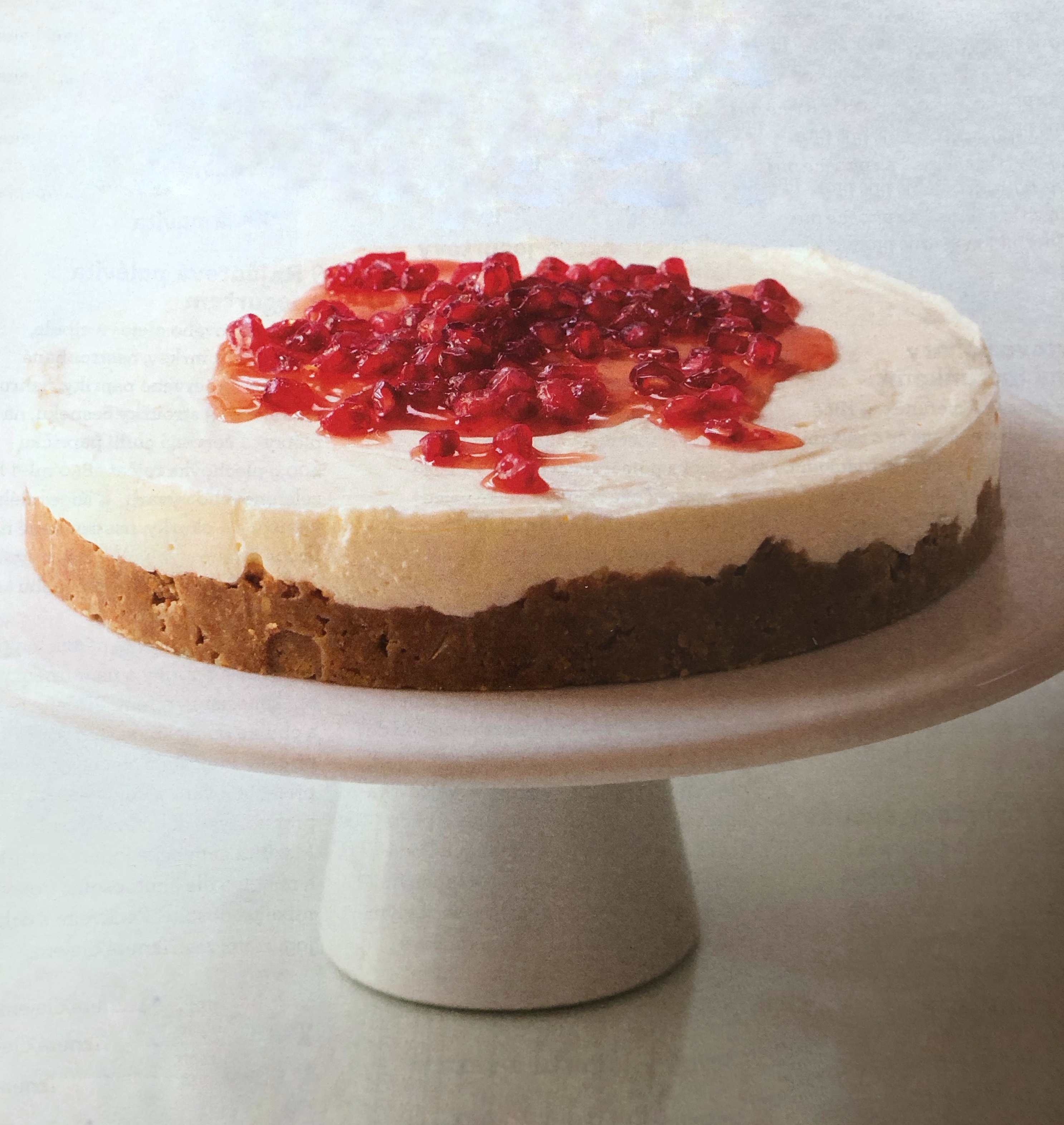 Jogurtový cheesecake