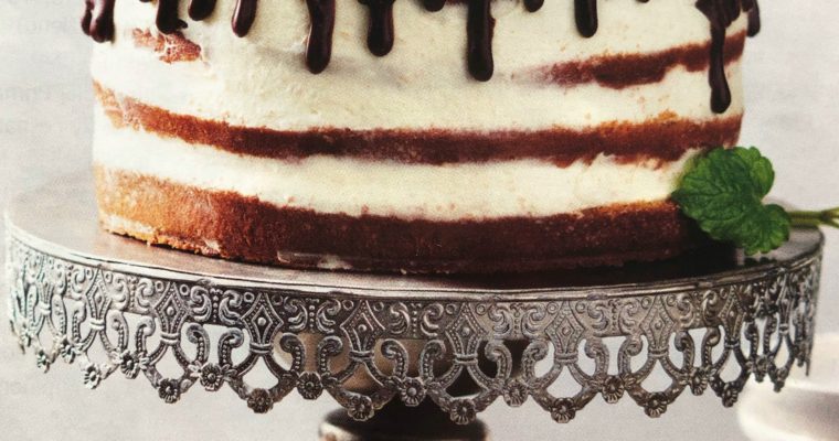 Polonahý borůvkový dort