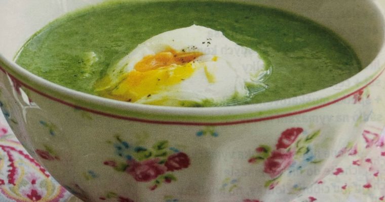 Špenátová polévka