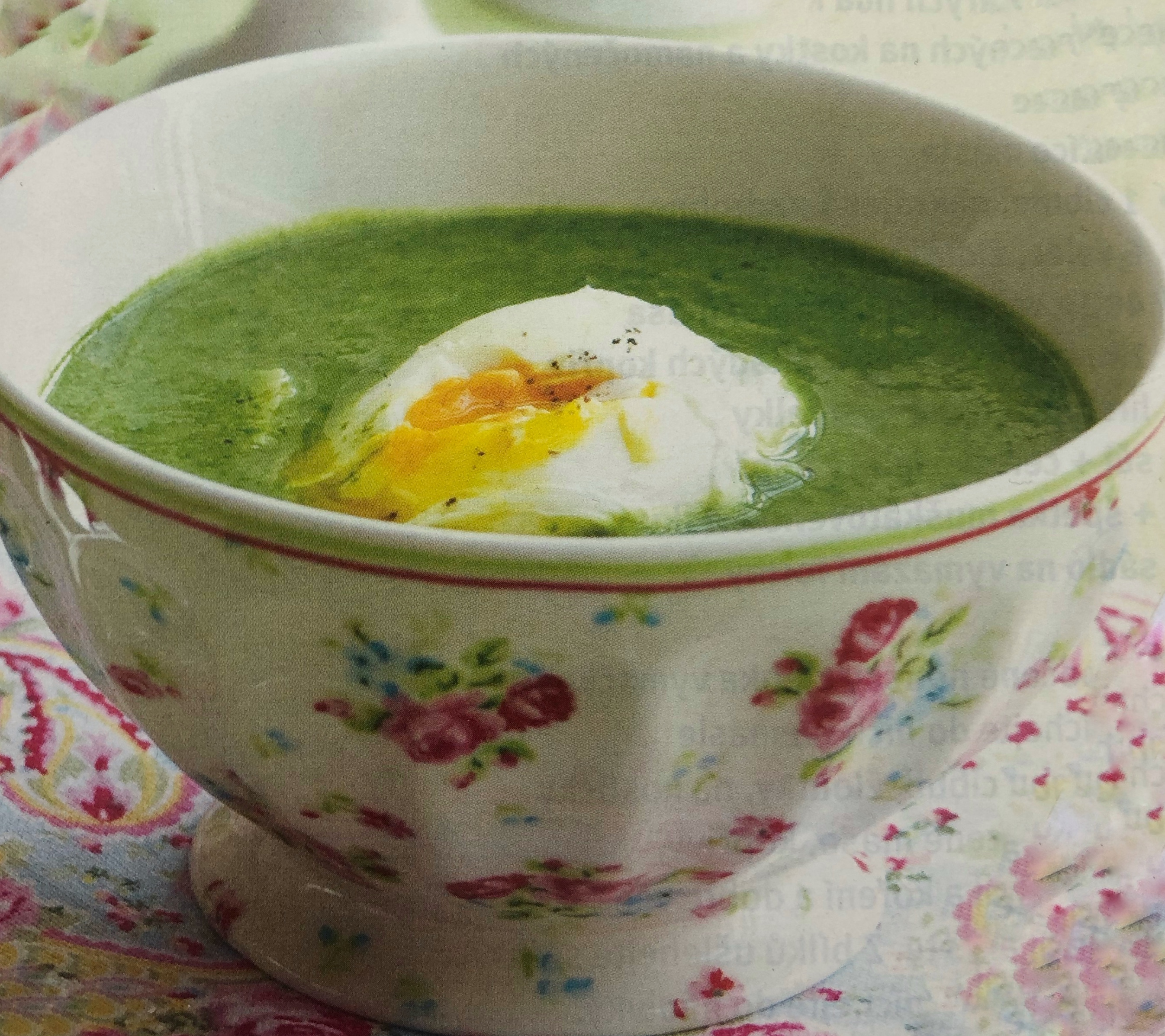 Špenátová polévka